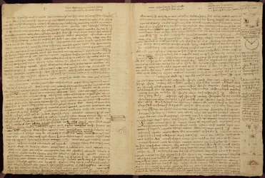 Una página del Códice Leicester, 1508-12